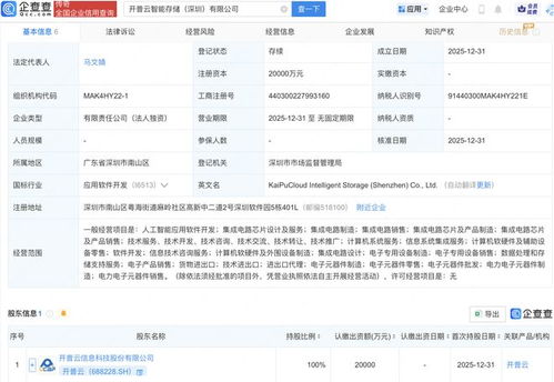 開(kāi)普云斥資2億元成立智能存儲(chǔ)公司，戰(zhàn)略布局AI與軟件開(kāi)發(fā)新賽道